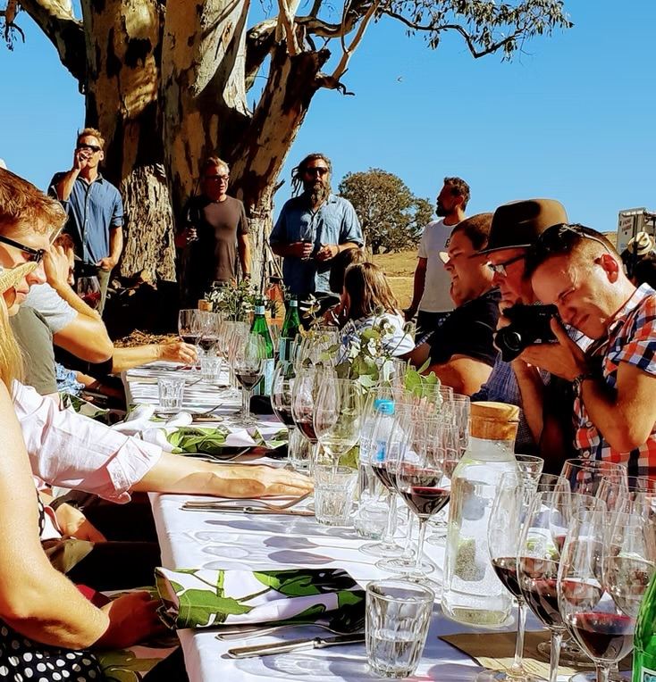 A long table lunch with wine glasses under the gum trees on a sunny Barossa day